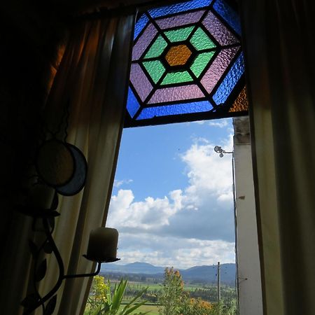 Bed and Breakfast El Pedregal Сопо Номер фото