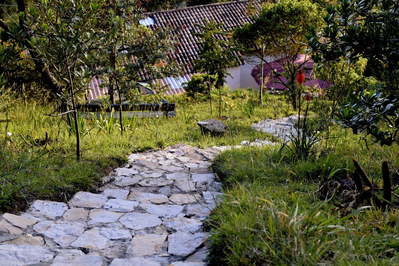 Bed and Breakfast El Pedregal Сопо Экстерьер фото