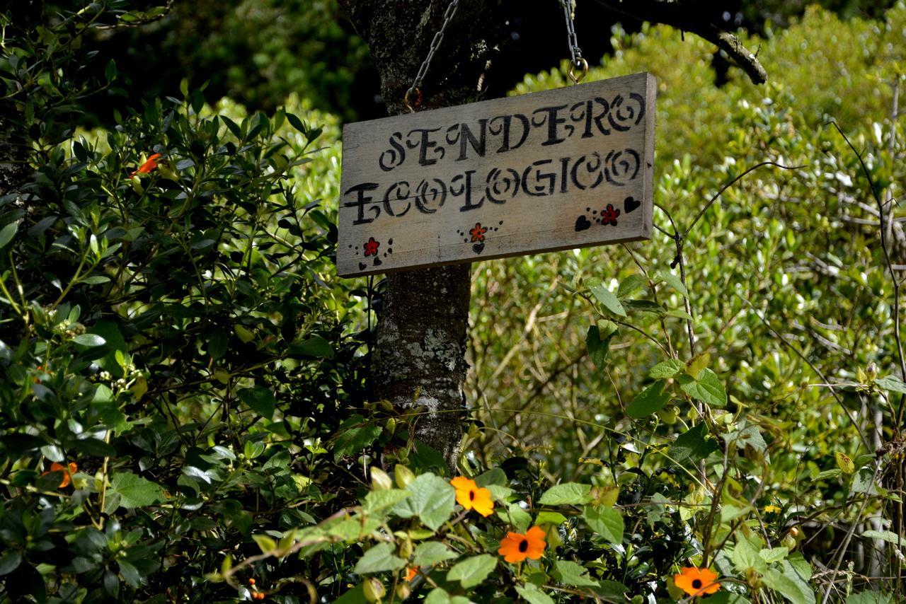 Bed and Breakfast El Pedregal Сопо Экстерьер фото