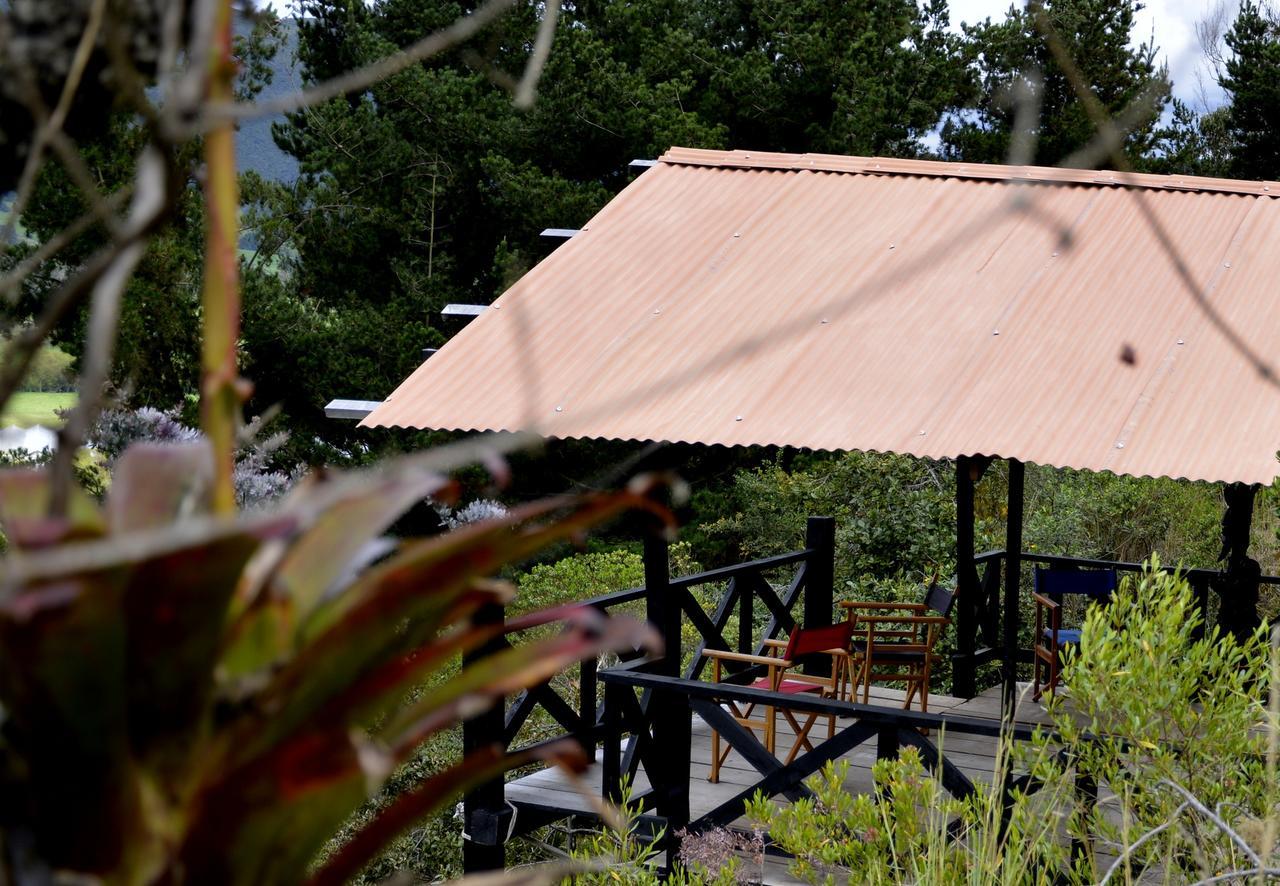 Bed and Breakfast El Pedregal Сопо Экстерьер фото