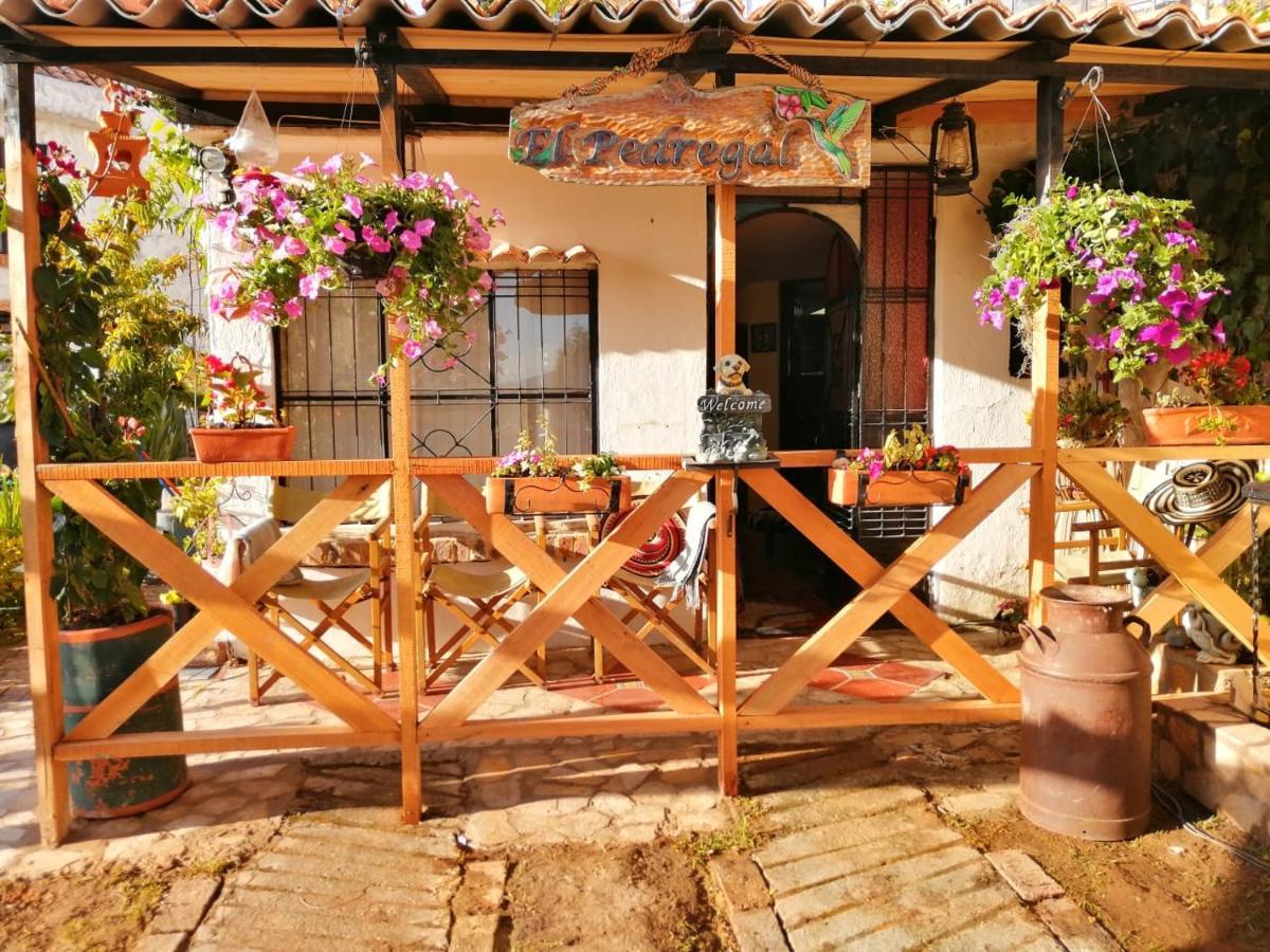 Bed and Breakfast El Pedregal Сопо Экстерьер фото