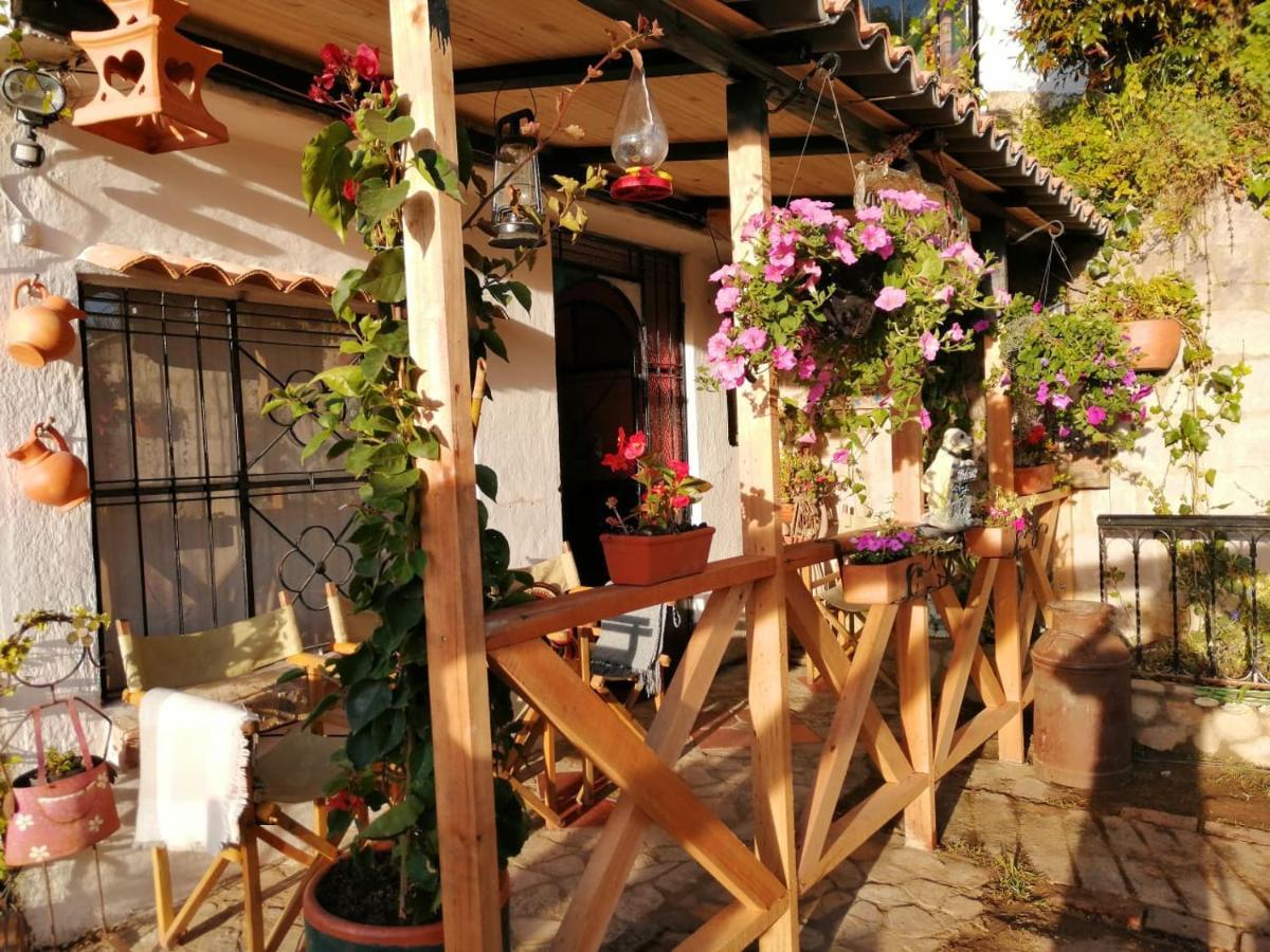Bed and Breakfast El Pedregal Сопо Экстерьер фото